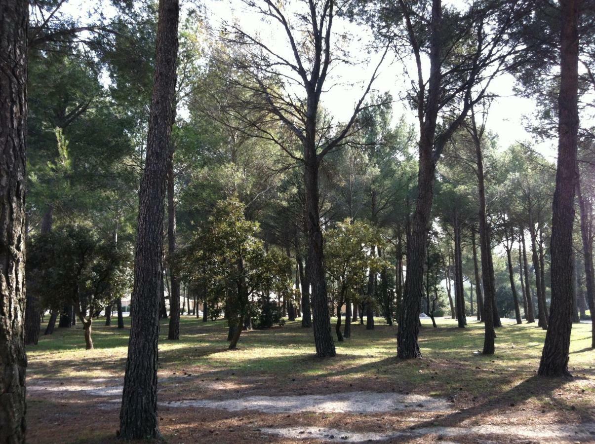 La Pinede Du Golf Apartamento LʼIsle-sur-la-Sorgue Exterior foto